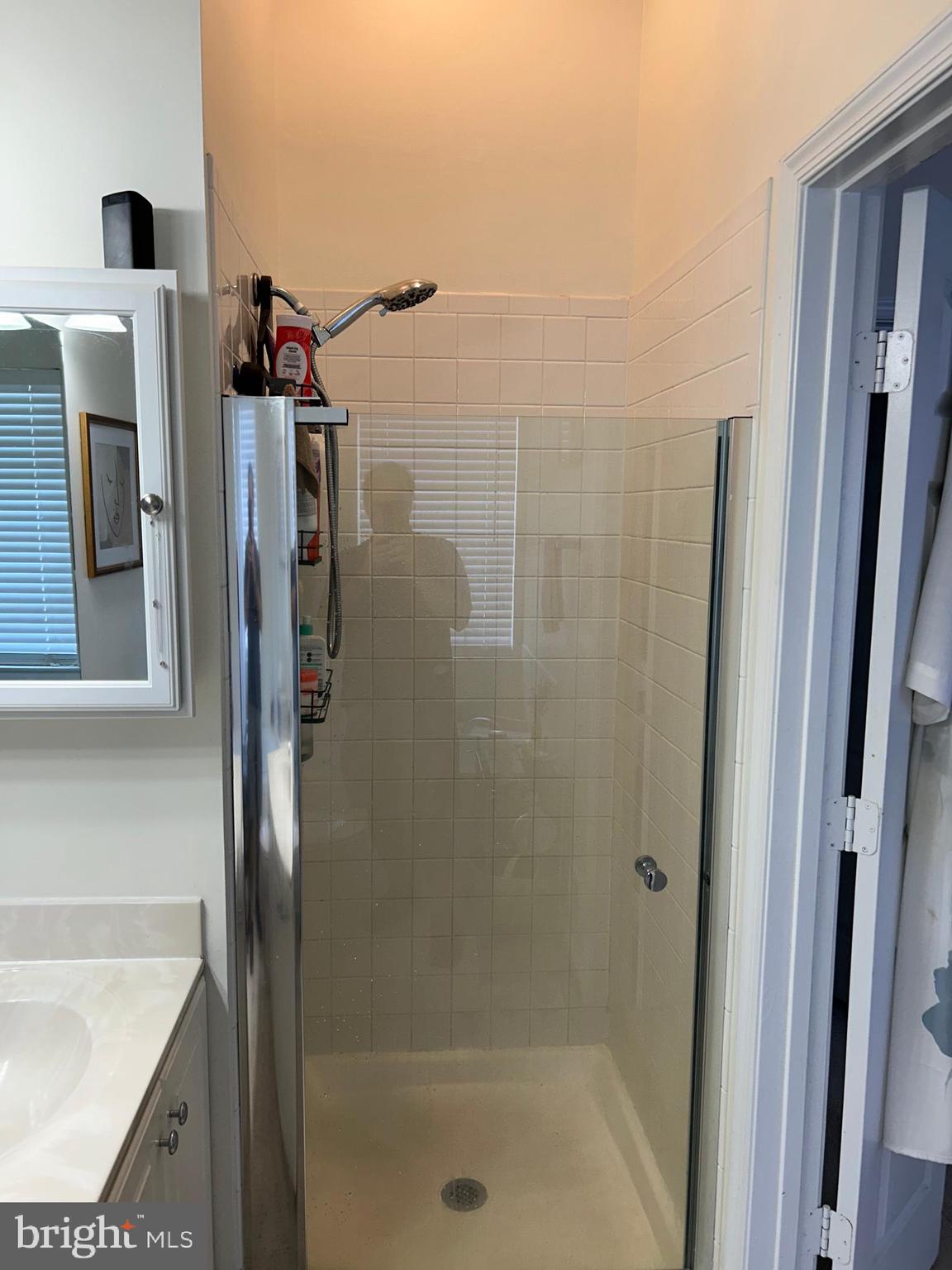 2304 Cold Meadow Way Silver Spring, MD 20906 - Photo 31 of 42 a bathroom with a shower and a sink