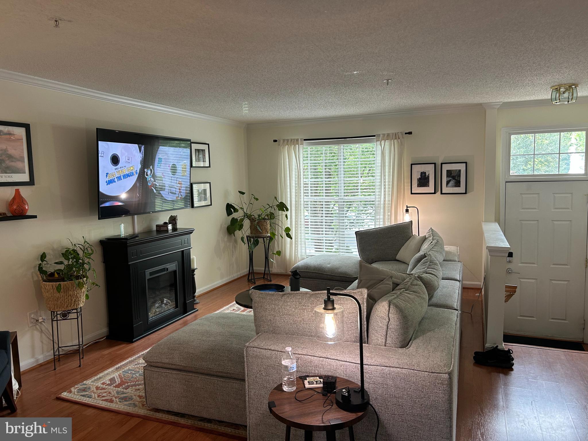 2304 Cold Meadow Way Silver Spring, MD 20906 - Photo 5 of 42 a living room with furniture and a flat screen tv