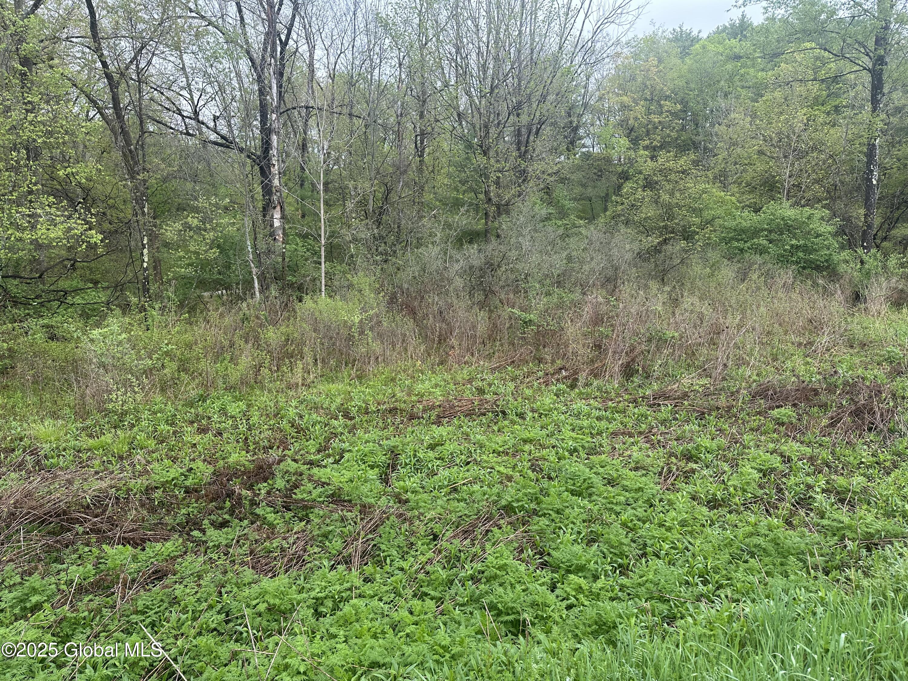 144 Factory Hollow Road Pittstown, NY 12185 - Photo 2 of 5 IMG_4904