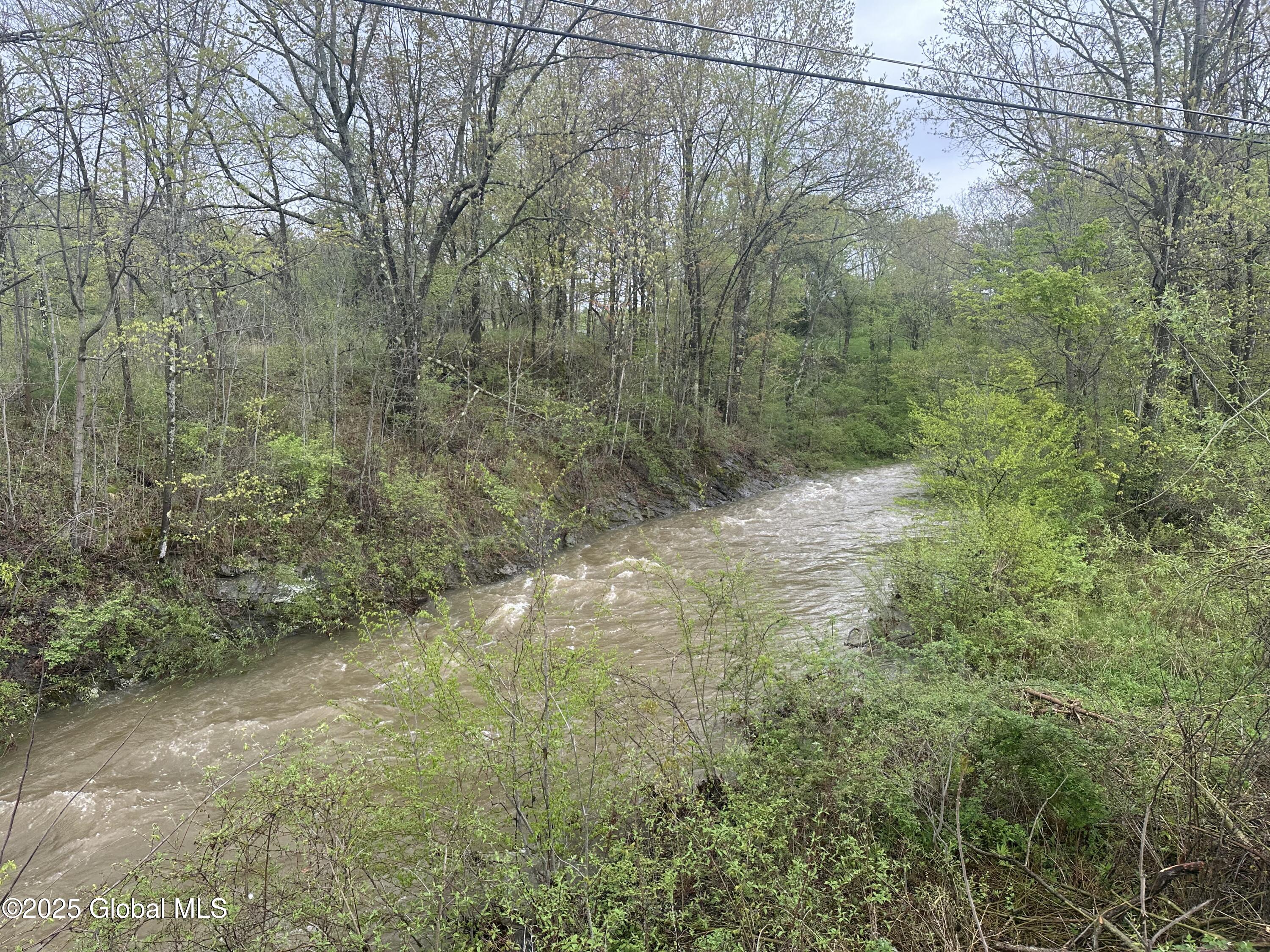 144 Factory Hollow Road Pittstown, NY 12185 - Photo 3 of 5 IMG_4905