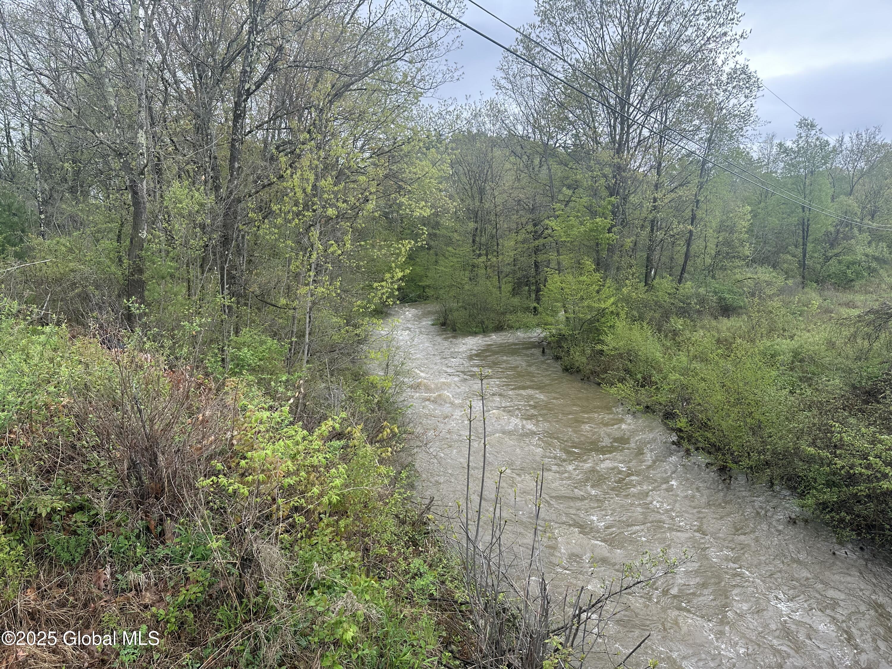 144 Factory Hollow Road Pittstown, NY 12185 - Photo 5 of 5 IMG_4907