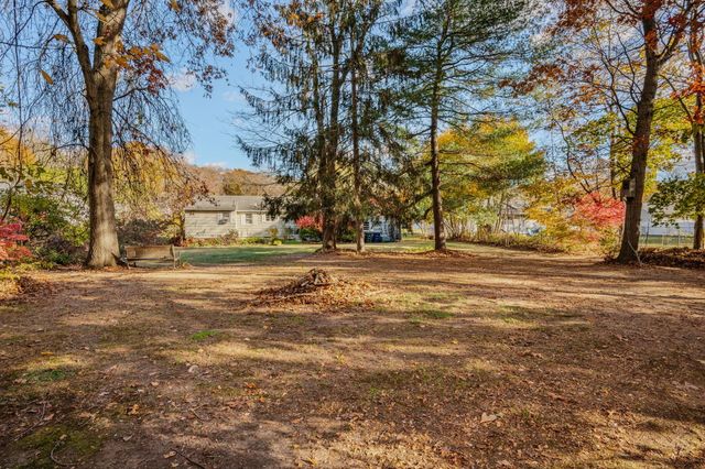 a view of road and trees