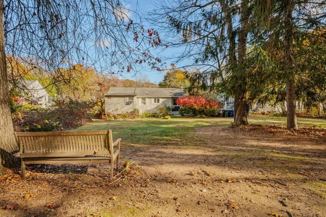 a view of yard with tree