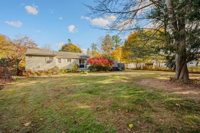 a view of large trees and electric pole