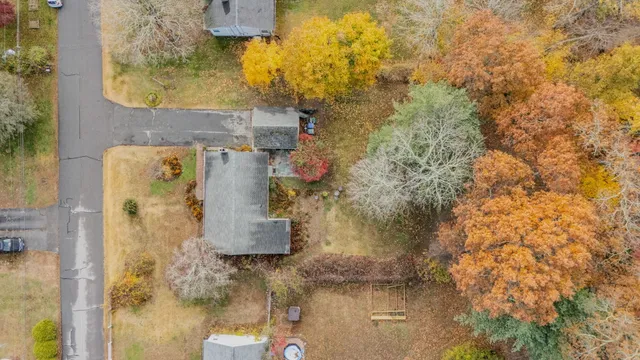 a picture of flowers