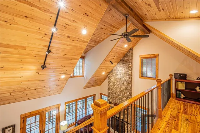 a view of a yard with plants and large trees