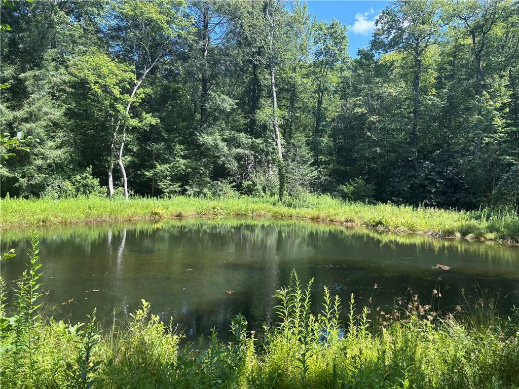1038 Wilkins Cove Road Suches, GA 30572 - Photo 56 of 89 a view of lake with green space