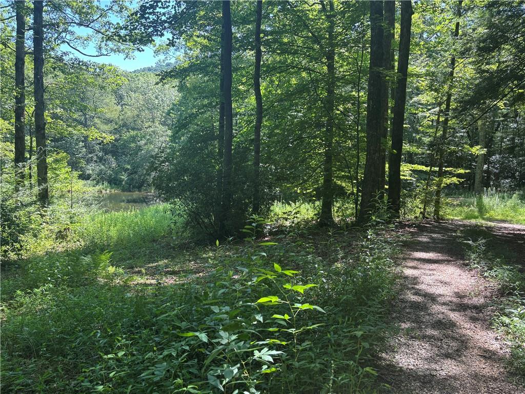 1038 Wilkins Cove Road Suches, GA 30572 - Photo 58 of 89 a view of a lush green forest
