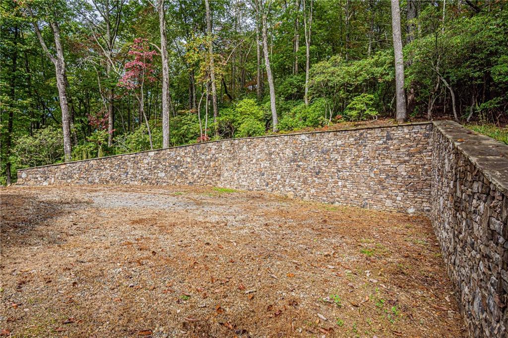 1038 Wilkins Cove Road Suches, GA 30572 - Photo 63 of 89 a view of a yard with plants and large trees