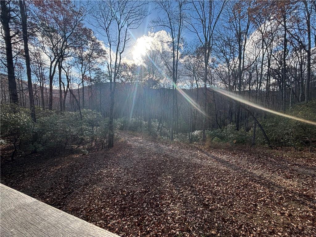 1038 Wilkins Cove Road Suches, GA 30572 - Photo 81 of 89 a backyard of a house with lots of green space