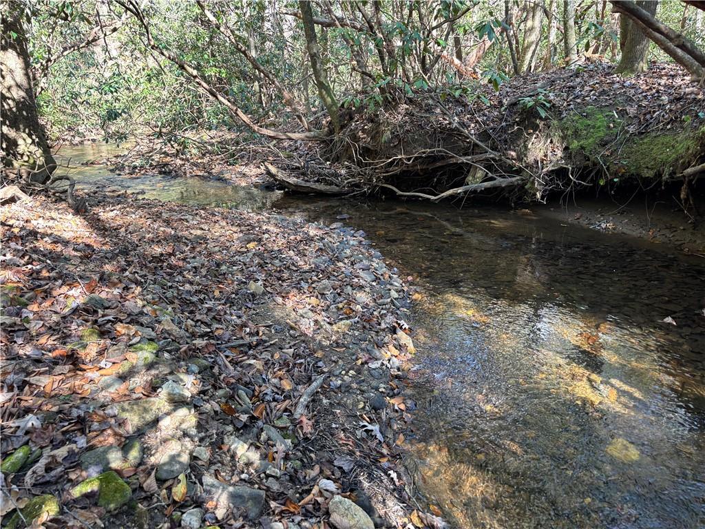 1038 Wilkins Cove Road Suches, GA 30572 - Photo 84 of 89