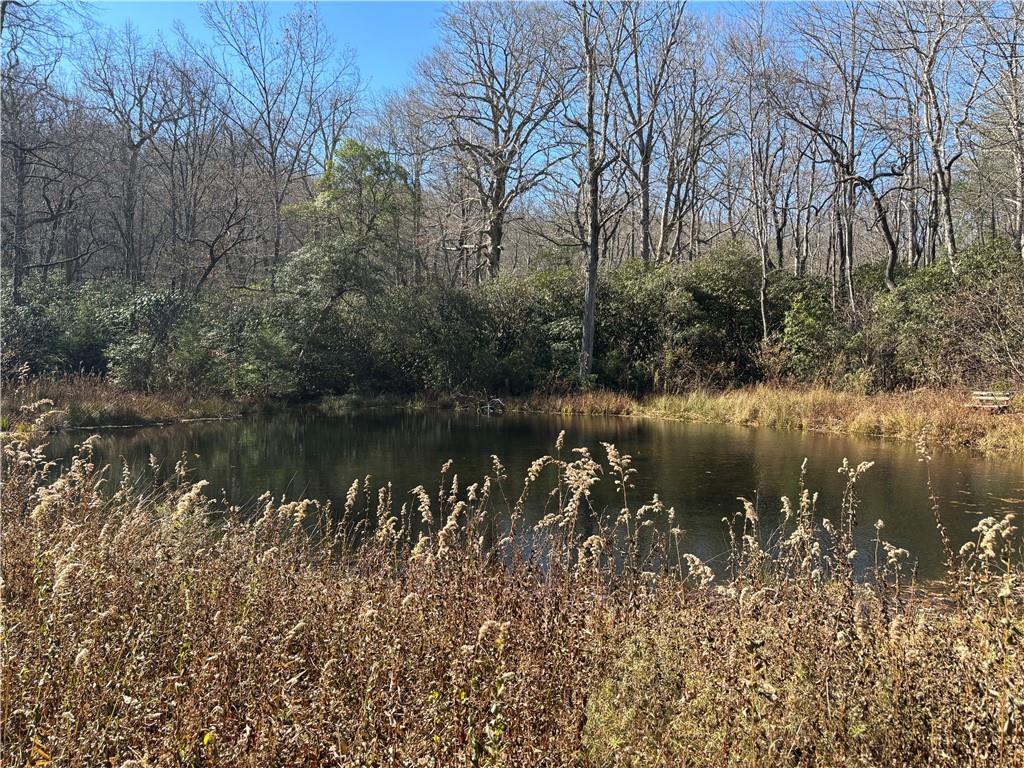 1038 Wilkins Cove Road Suches, GA 30572 - Photo 85 of 89 a view of lake