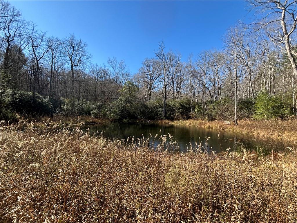 1038 Wilkins Cove Road Suches, GA 30572 - Photo 86 of 89 a view of a lake view with lots of trees