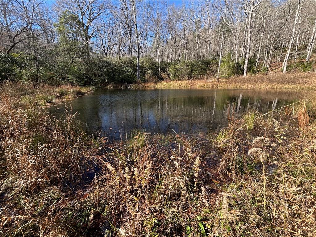 1038 Wilkins Cove Road Suches, GA 30572 - Photo 87 of 89