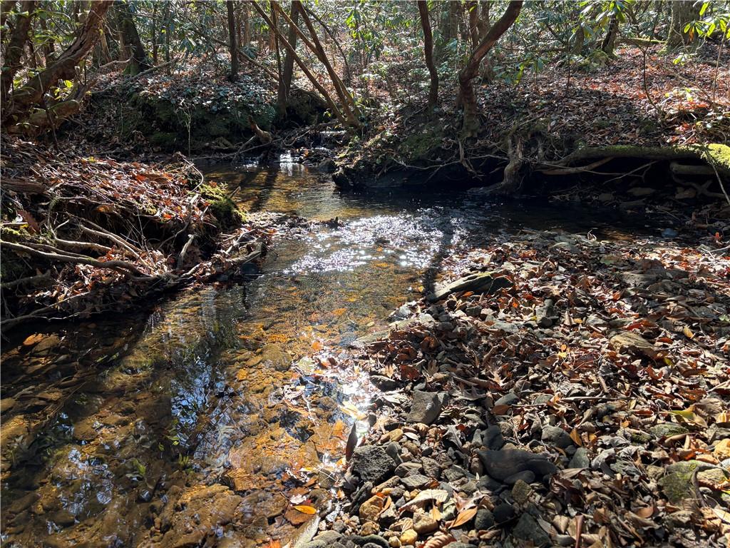 1038 Wilkins Cove Road Suches, GA 30572 - Photo 89 of 89