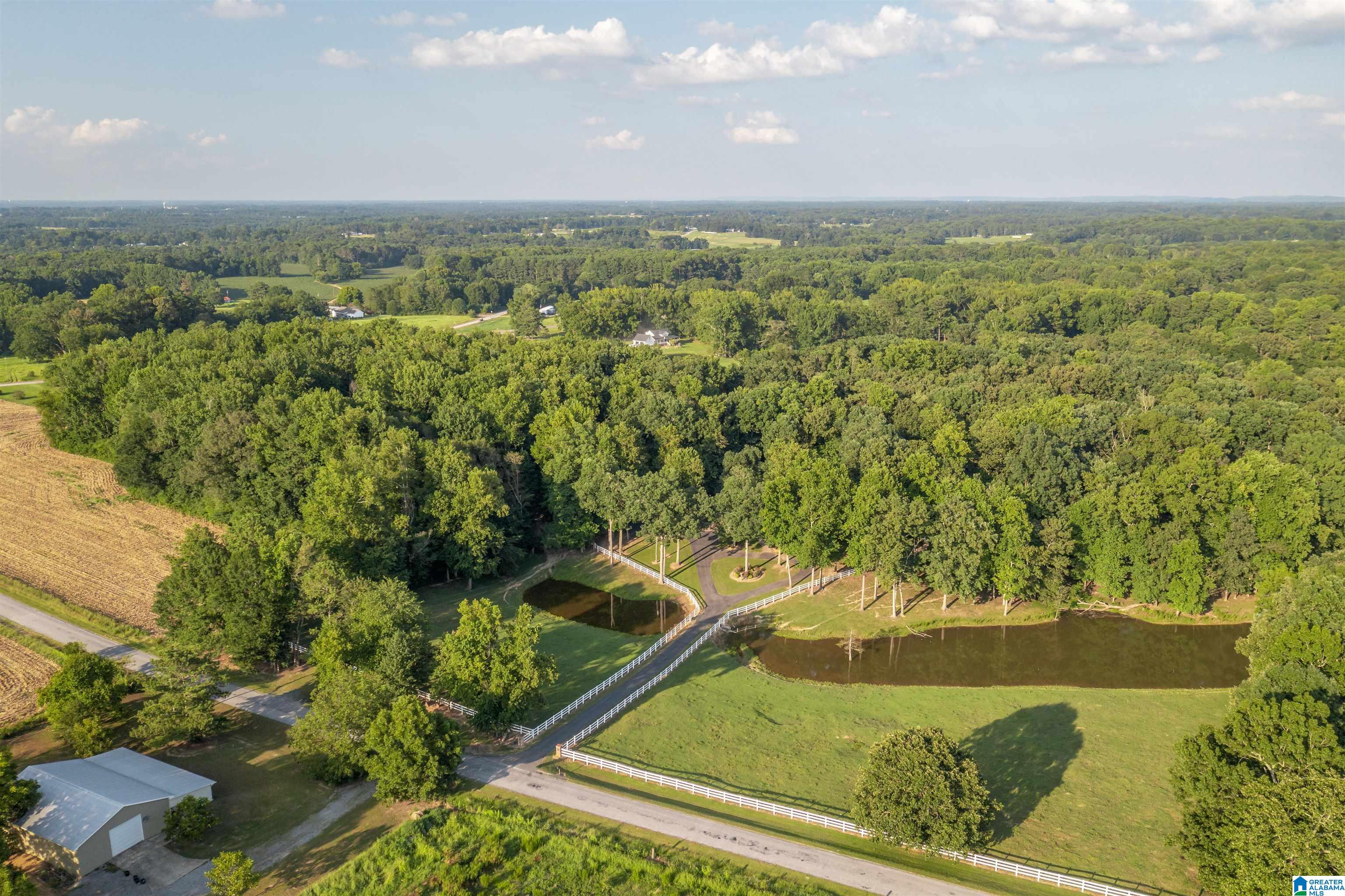 253 County Road 203 Boaz, AL 35957 - Photo 54 of 59