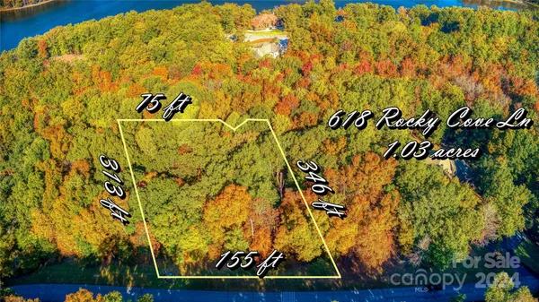 a close up of a plant