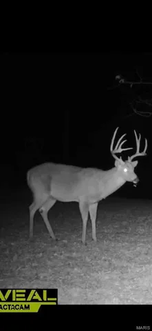 $254,500 | 6458 Hwy Jj, Sullivan, MO 63080