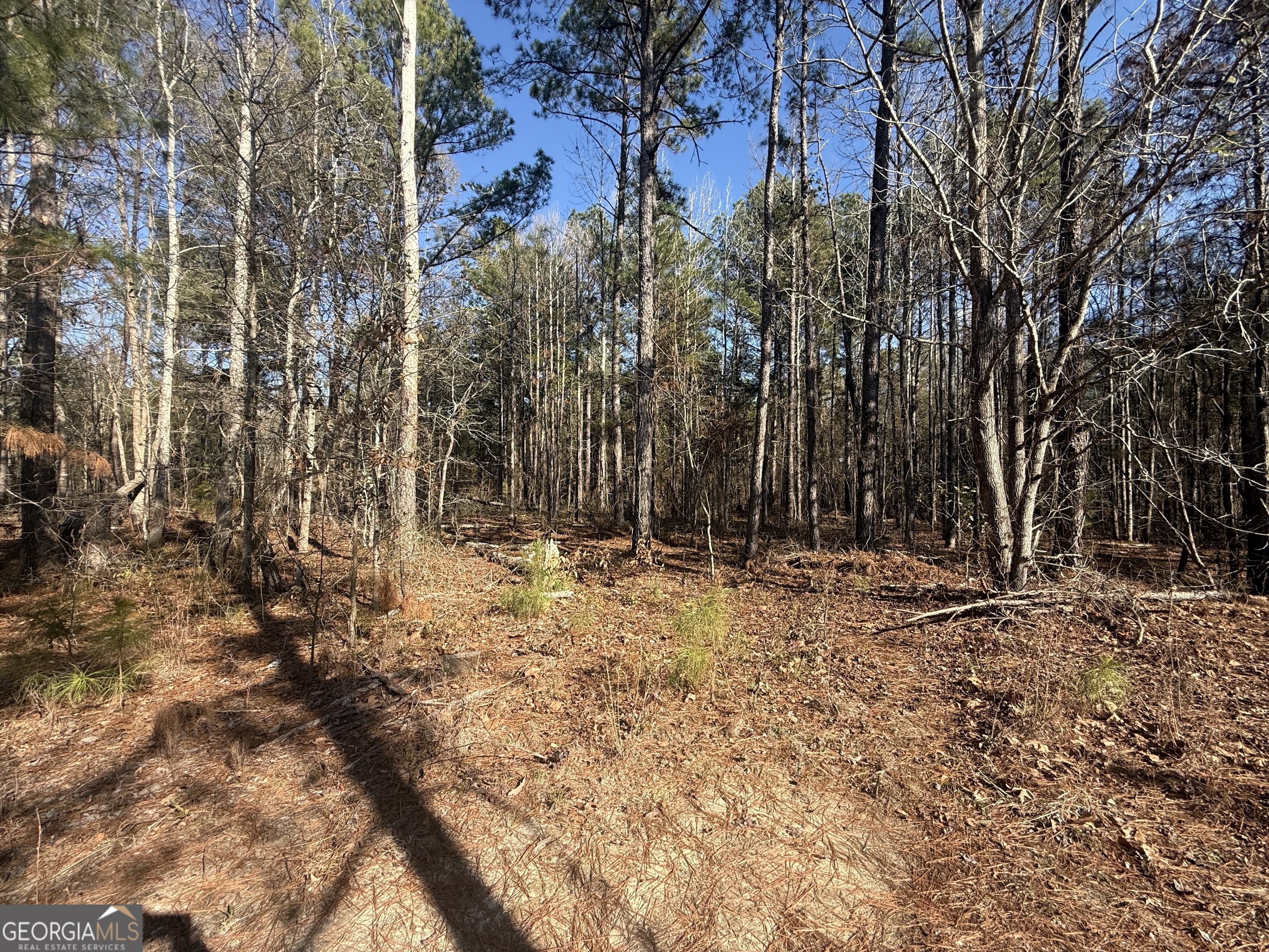 158 Union Grove Church Road Wrightsville, GA 31096 - Photo 16 of 32