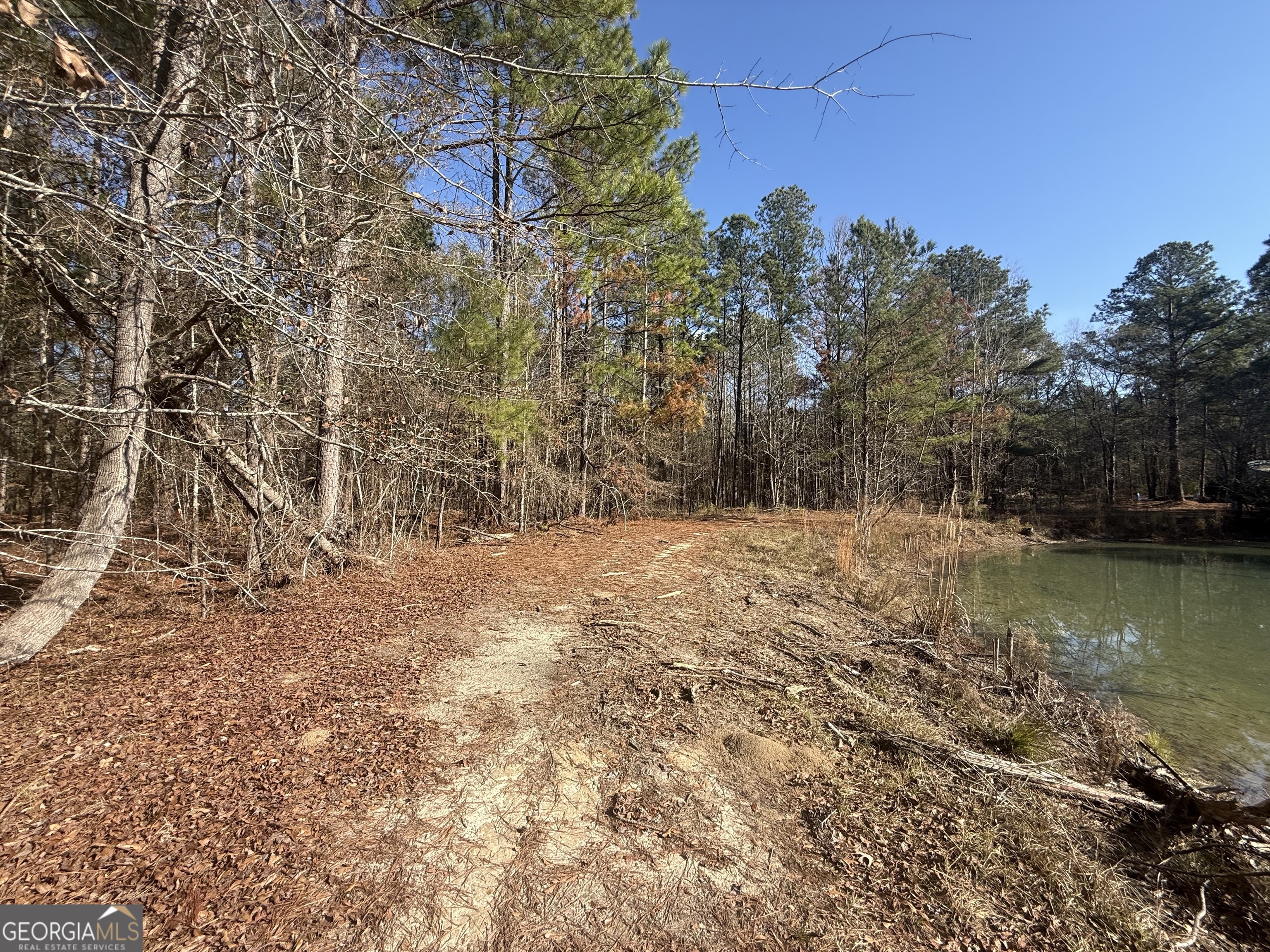 158 Union Grove Church Road Wrightsville, GA 31096 - Photo 23 of 32