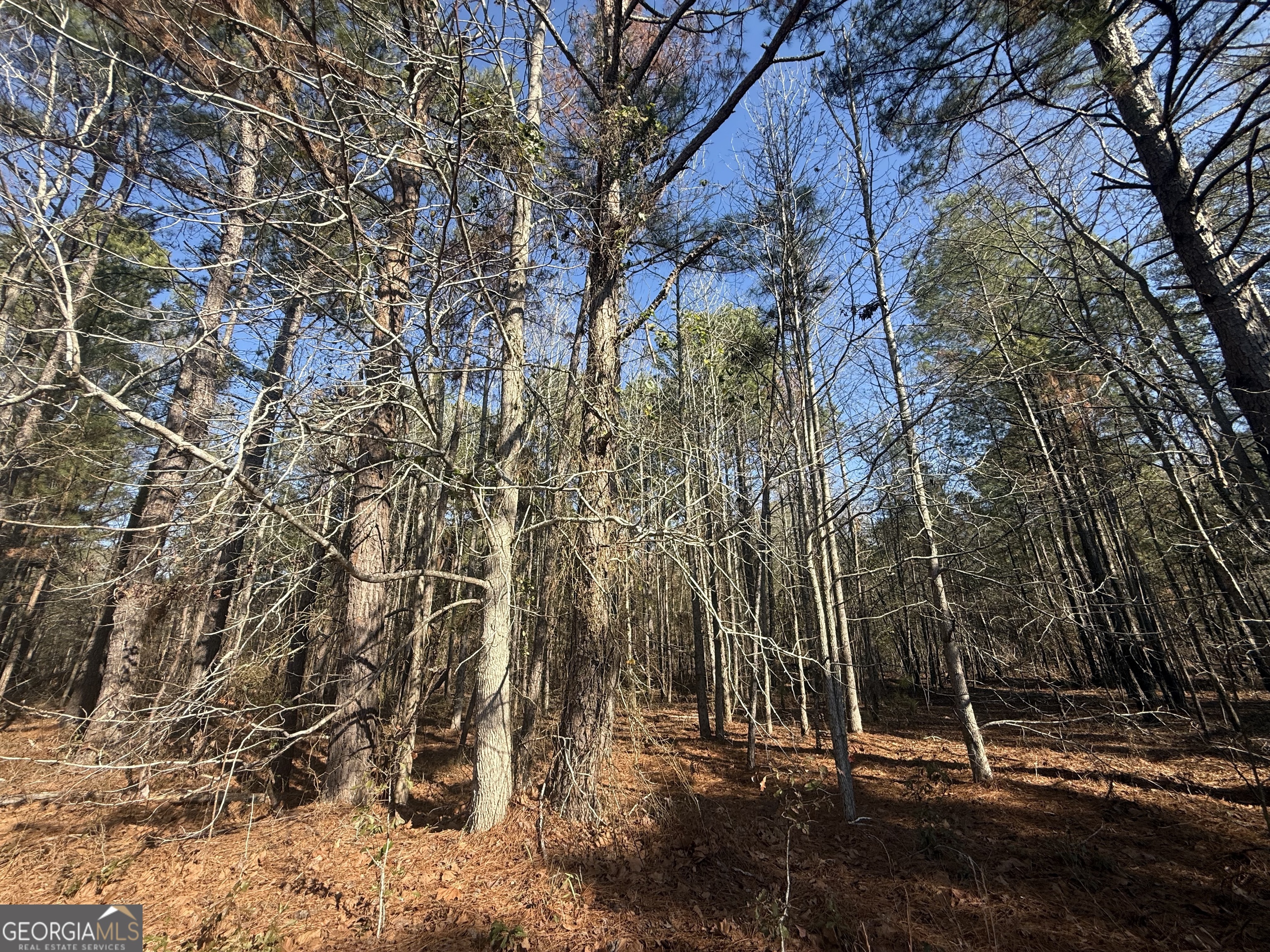 158 Union Grove Church Road Wrightsville, GA 31096 - Photo 24 of 32