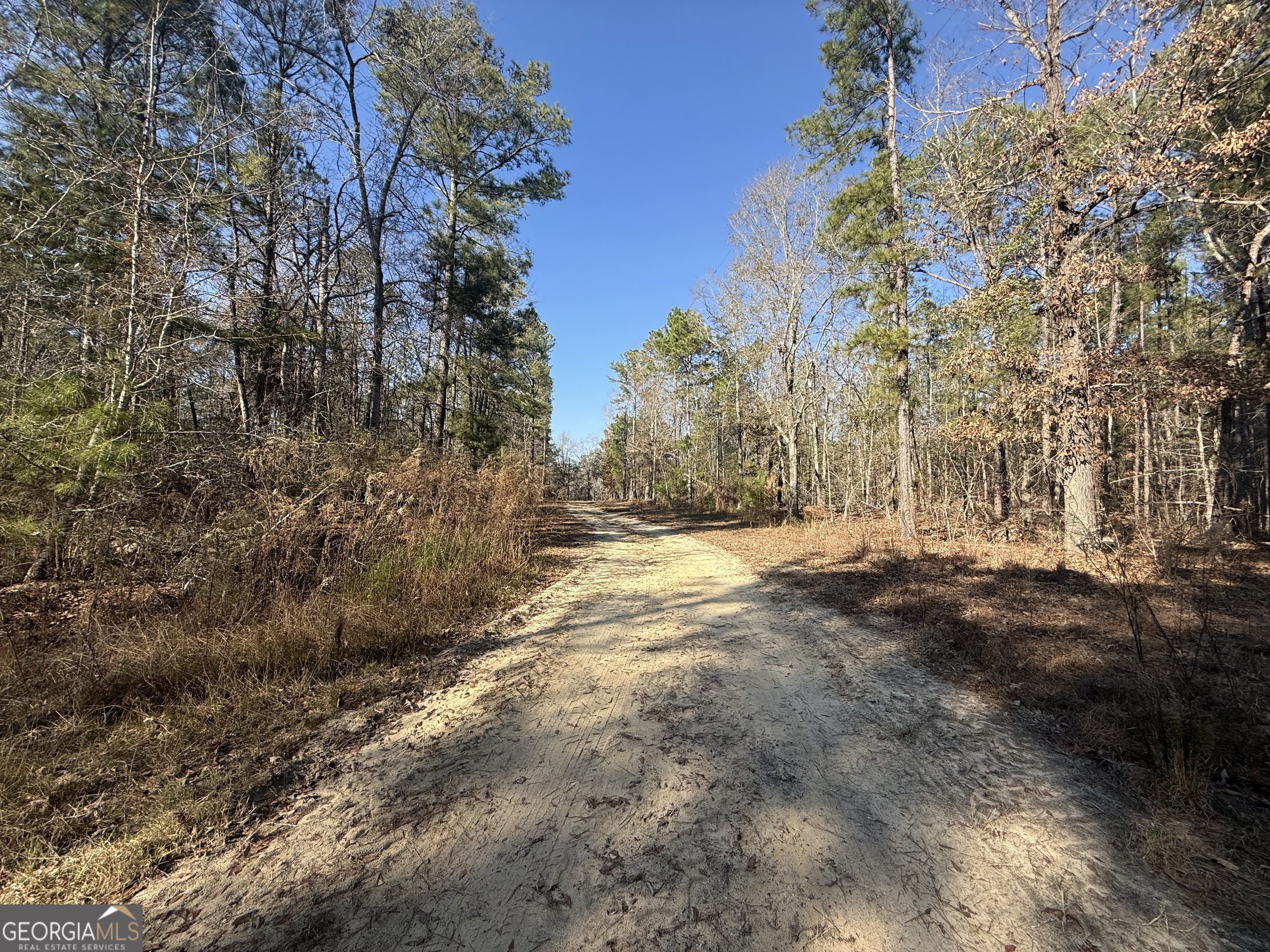 158 Union Grove Church Road Wrightsville, GA 31096 - Photo 26 of 32