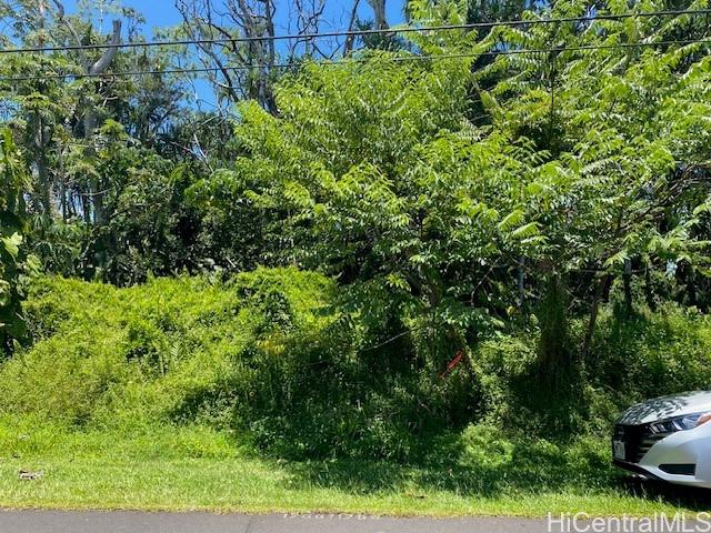 S Puni Lapa Loop Pahoa, HI 96778 - Photo 1 of 7 a view of a garden with a car park