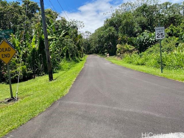 S Puni Lapa Loop Pahoa, HI 96778 - Photo 2 of 7 a view of a road with a yard