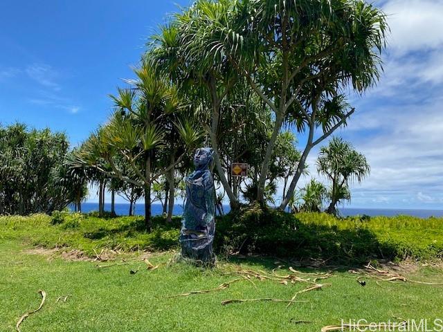 S Puni Lapa Loop Pahoa, HI 96778 - Photo 5 of 7 a view of garden with trees
