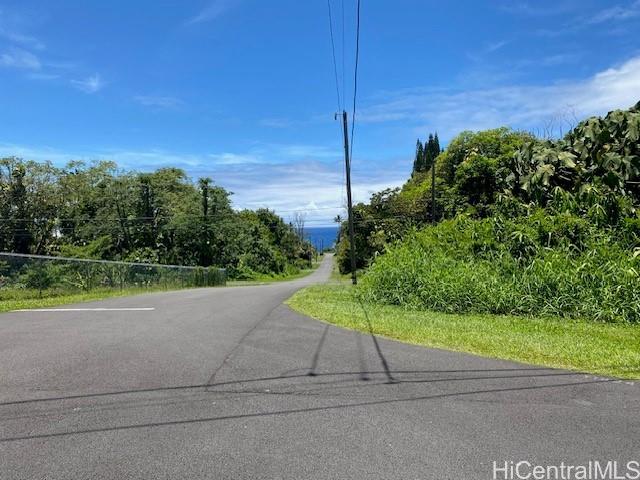 S Puni Lapa Loop Pahoa, HI 96778 - Photo 7 of 7 a view of a street