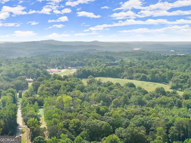 a view of a lush green forest with lots of trees
