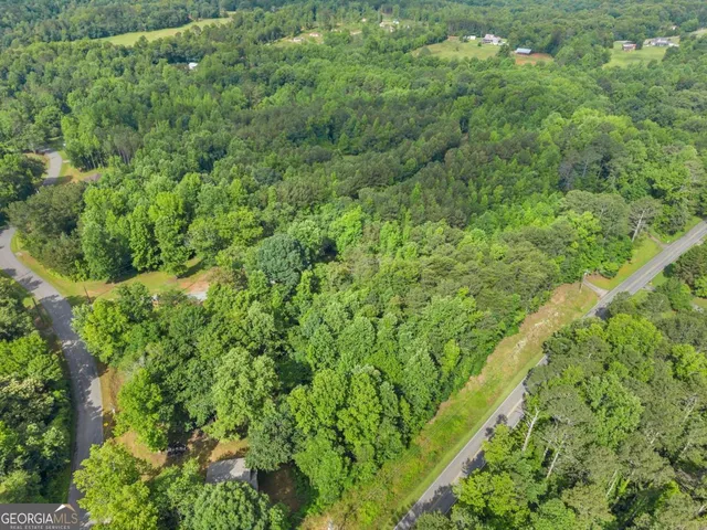 a view of a yard with plants