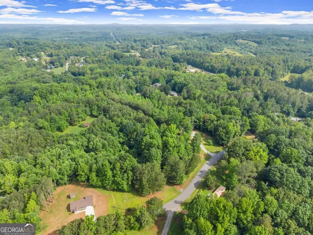 an aerial view of residential houses with outdoor space and trees