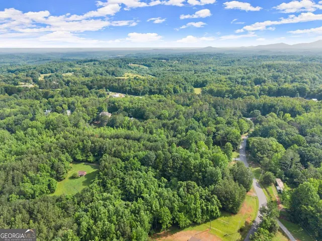 an aerial view of residential houses with outdoor space and trees