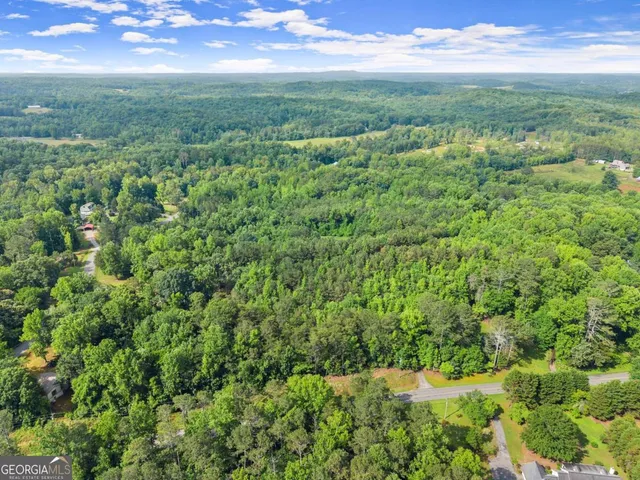 a view of a lush green forest with lots of trees