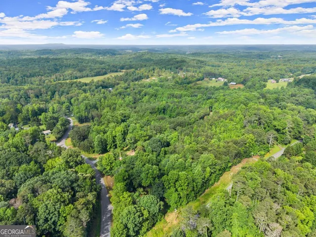 an aerial view of residential houses with outdoor space and trees