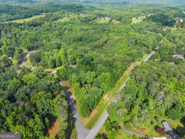 a view of a field with an trees