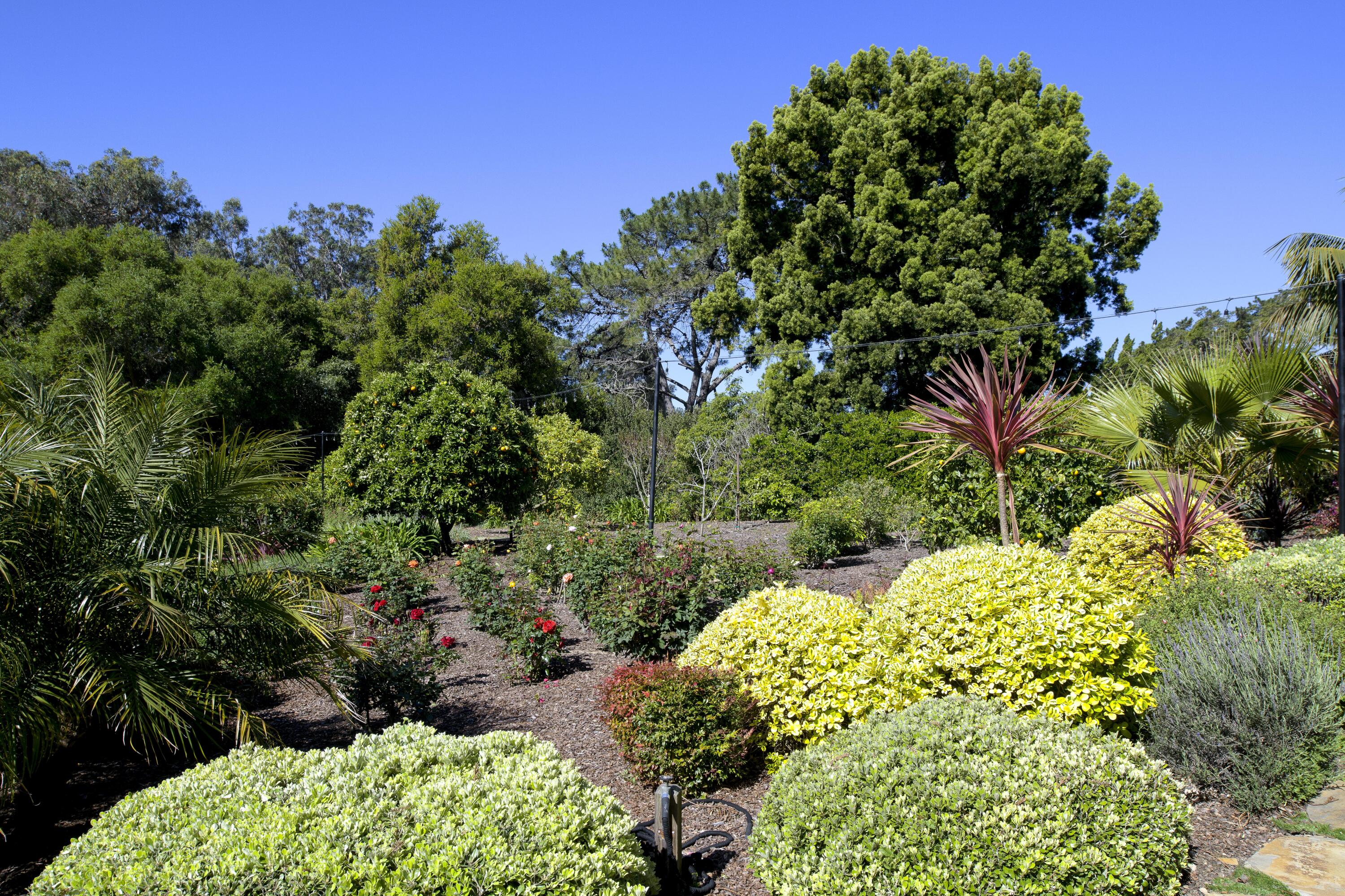 1122 Camino Viejo Road Santa Barbara, CA 93108 - Photo 24 of 29 ARC_8220