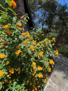 $2,500,000 | 2348 Mill Creek Lane, Healdsburg, CA 95448