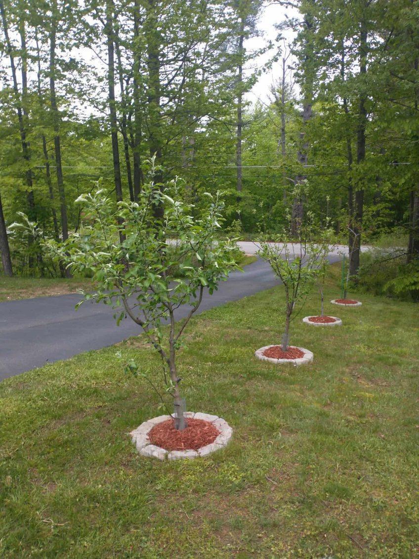 1618 Acton Ridge Road Acton, ME 04001 - Photo 31 of 43 image000002