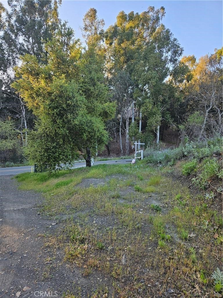27375 Sycamore Mesa Road Temecula, CA 92590 - Photo 1 of 6 a view of outdoor space with trees all around