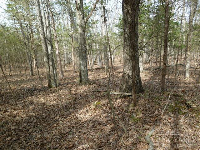 0 State Rte 41 West Union, OH 45693 - Photo 43 of 65