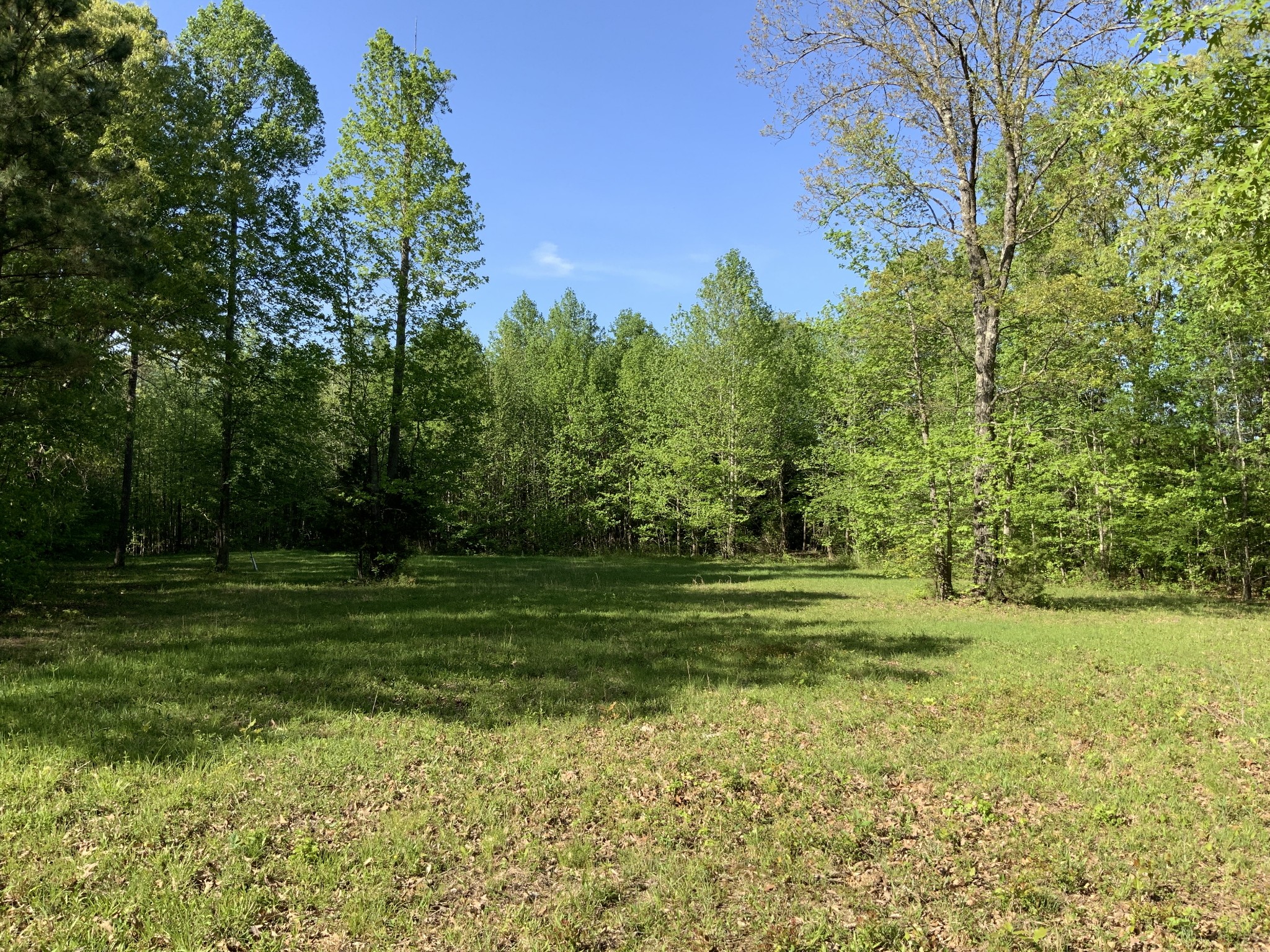 a view of a grassy field with trees in the background