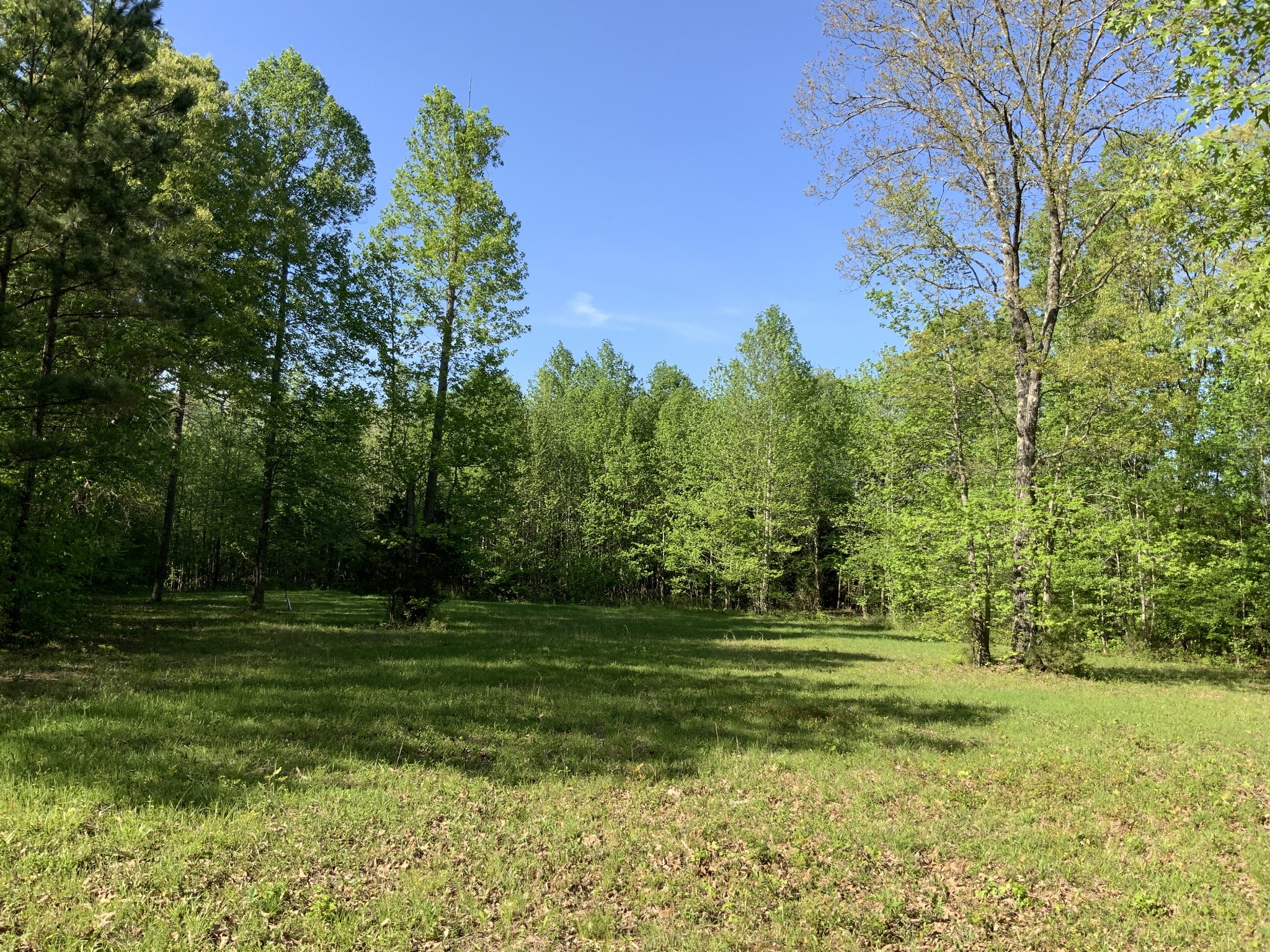 0 Manleyville Road Springville, TN 38256 - Photo 12 of 34 a view of a grassy field