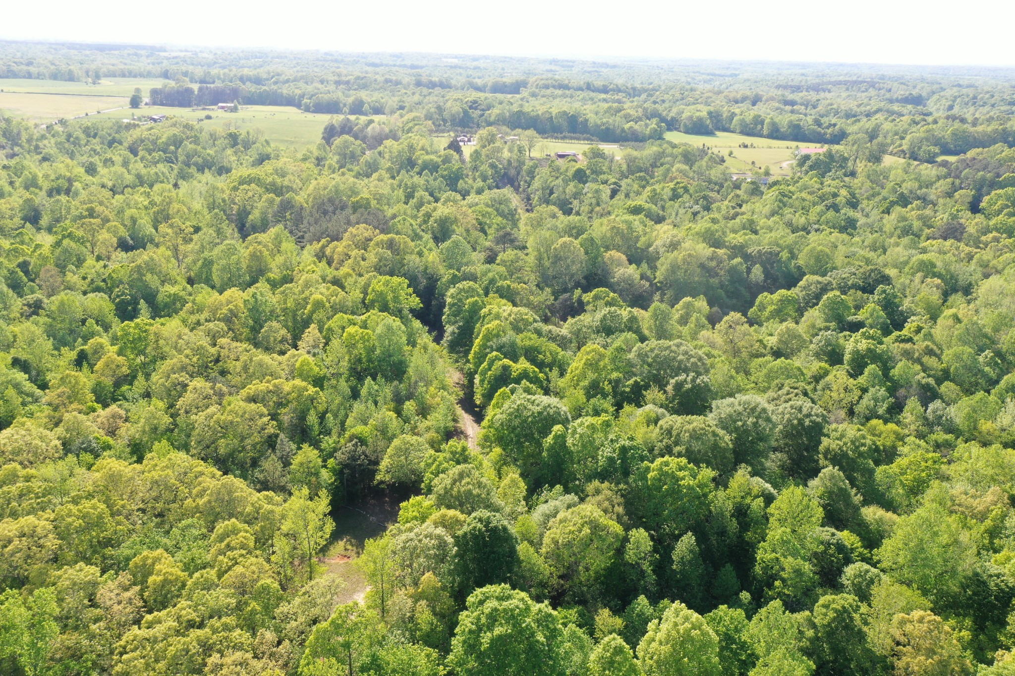 0 Manleyville Road Springville, TN 38256 - Photo 18 of 34 an aerial view of residential houses with outdoor space and trees