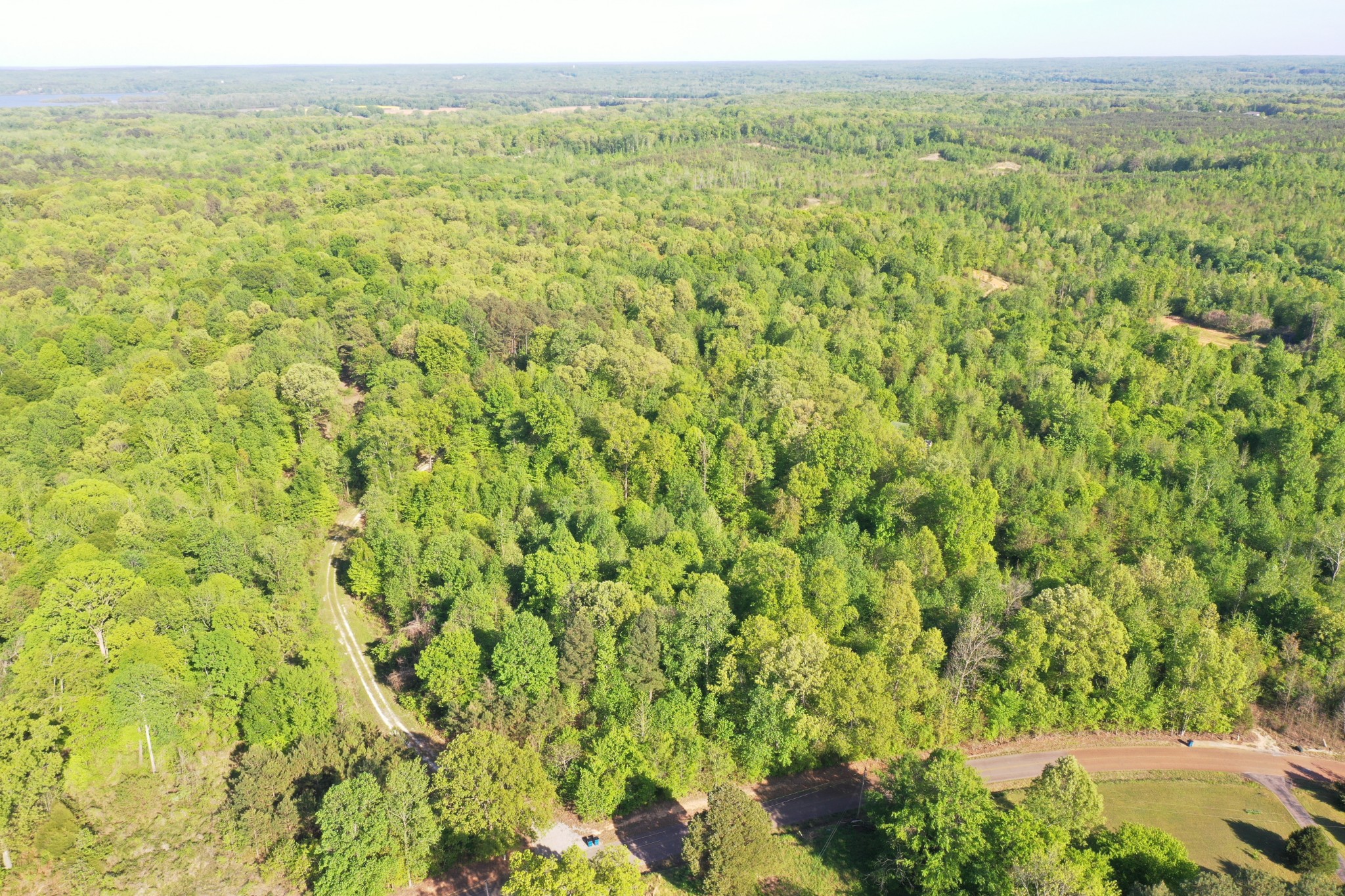 0 Manleyville Road Springville, TN 38256 - Photo 19 of 34 a view of a big yard with green space
