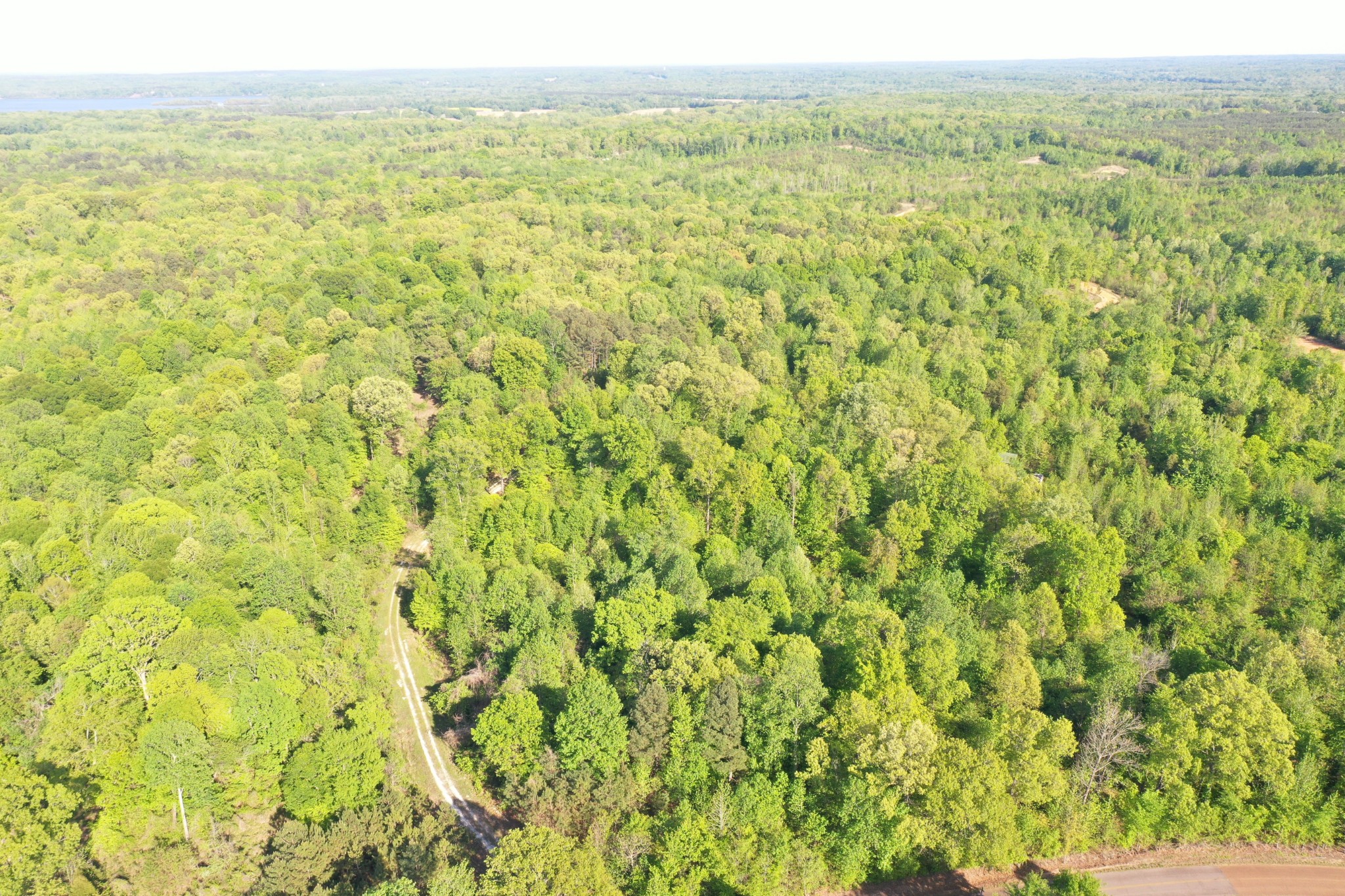 0 Manleyville Road Springville, TN 38256 - Photo 20 of 34 a view of a big yard with green space
