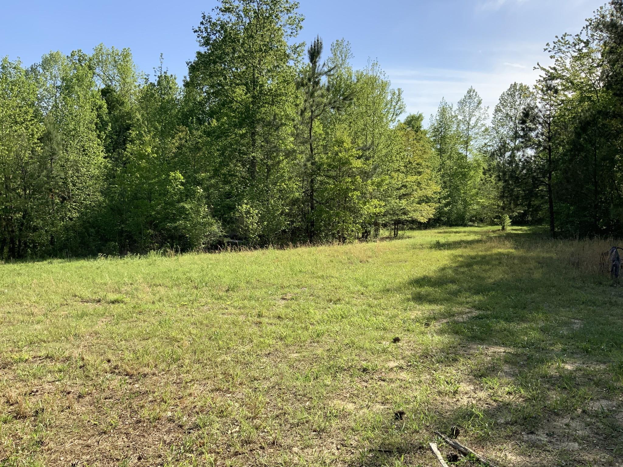 0 Manleyville Road Springville, TN 38256 - Photo 2 of 34 a view of outdoor space with trees all around