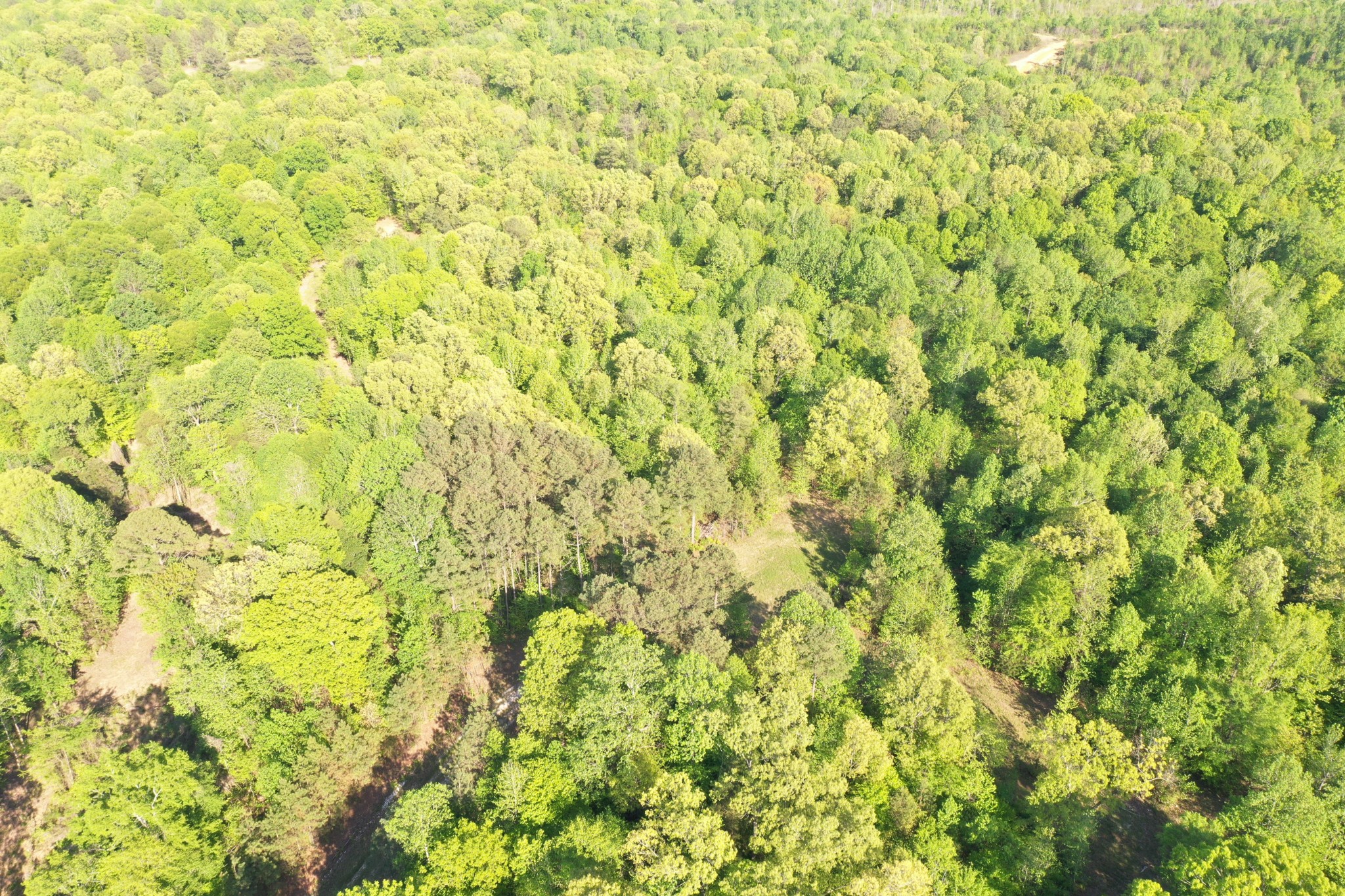 0 Manleyville Road Springville, TN 38256 - Photo 21 of 34 a view of a yard