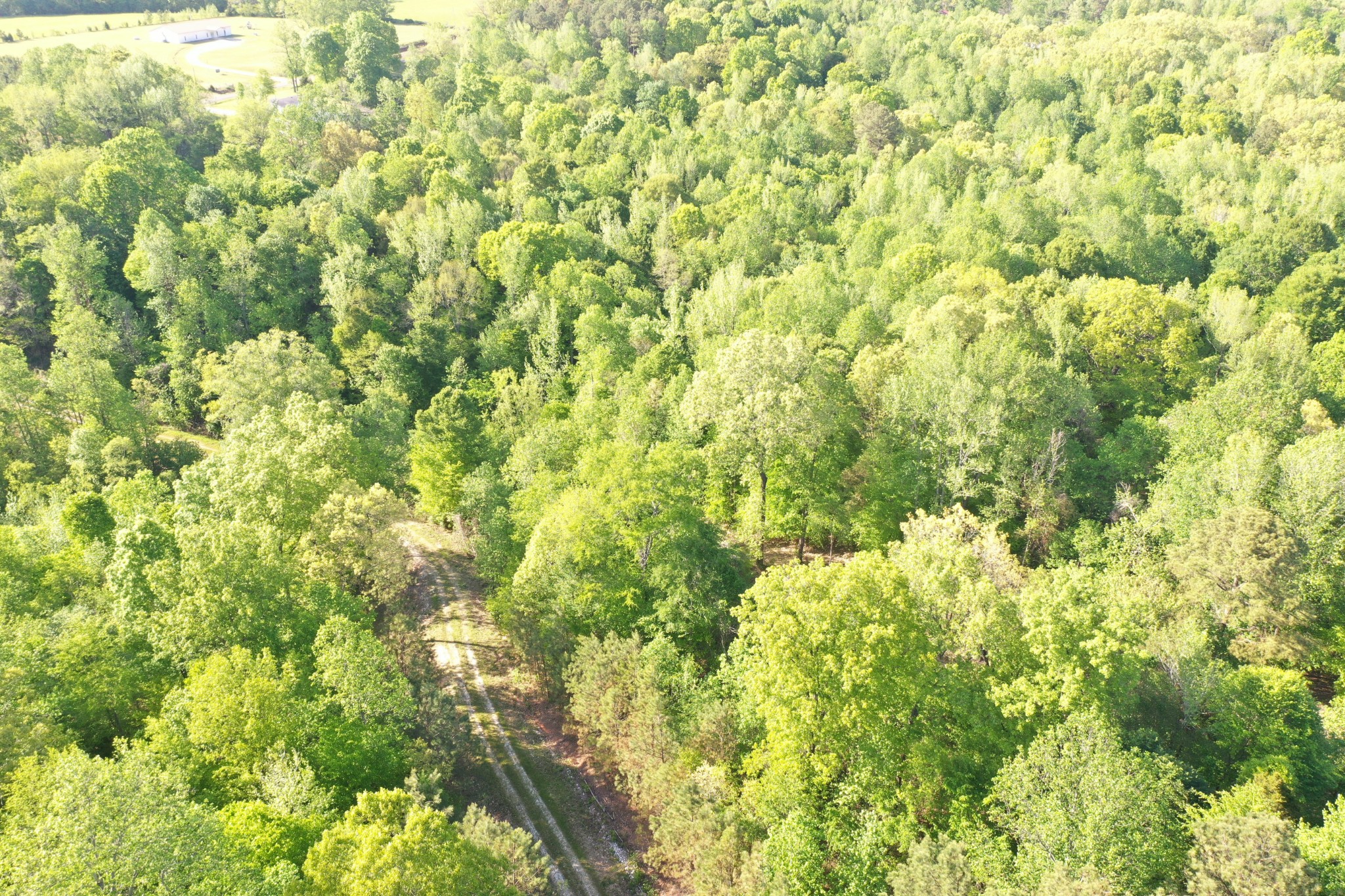 0 Manleyville Road Springville, TN 38256 - Photo 23 of 34 a view of a large yard with green space